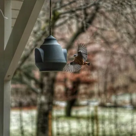 Charme A Holiday home *