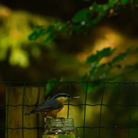 Holiday home Charme A Graide